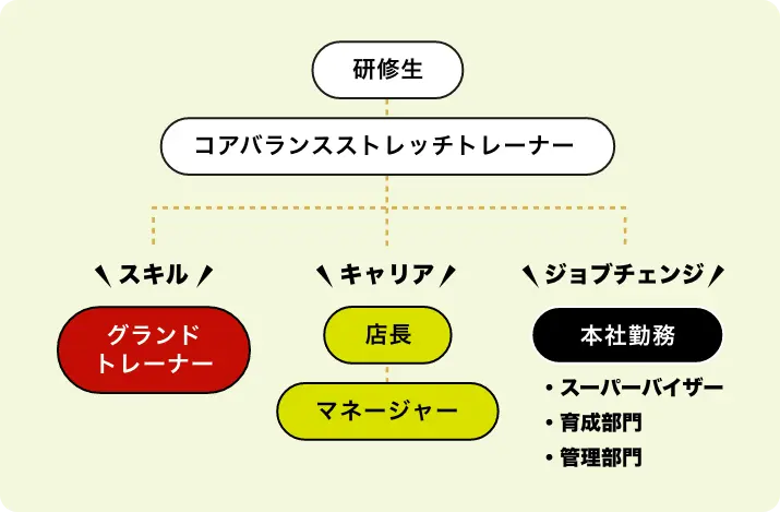 トレーナーデビュー後のキャリアプラン